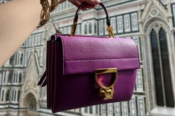 Coccinelle Image 1