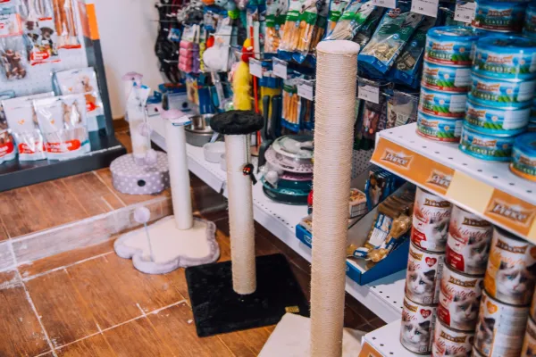 Daisy's Pet Shop Image 2