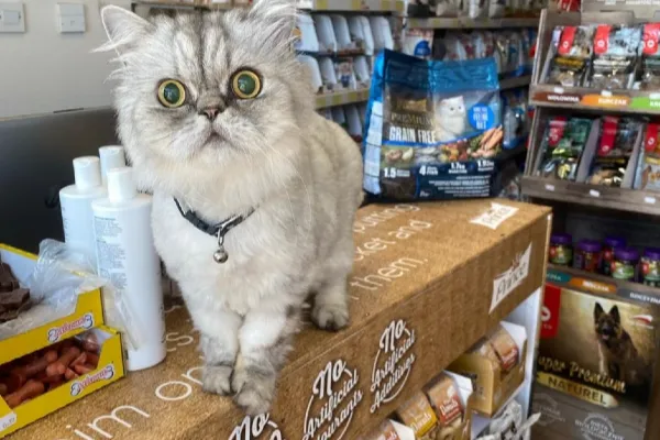 Daisy's Pet Shop Image 1