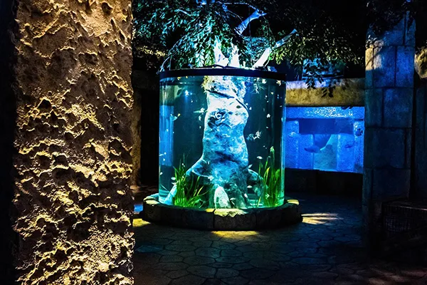 Malta National Aquarium Image 3