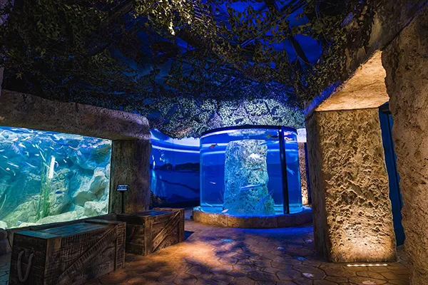 Malta National Aquarium Image 2