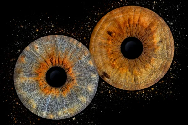 IRIS PHOTO ART Image 4