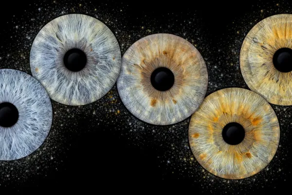 IRIS PHOTO ART Image 5
