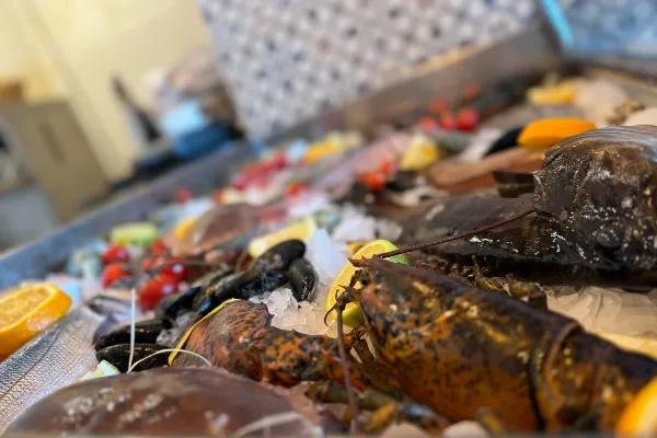 Qajjenza Bar & Restaurant