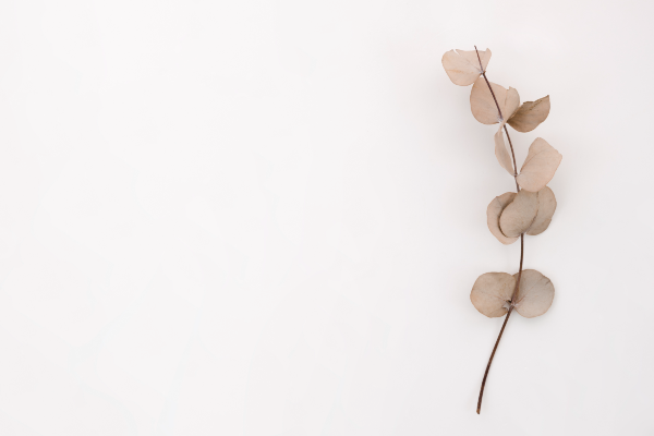 25% off body composition analysis