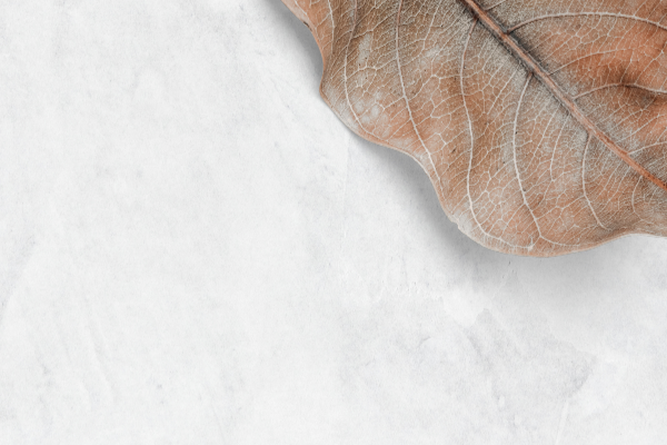 BodyKind Wellness Clinic Image 2