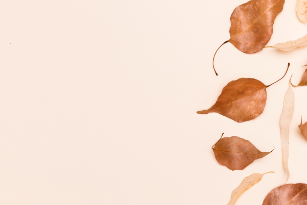 BodyKind Wellness Clinic Image 6