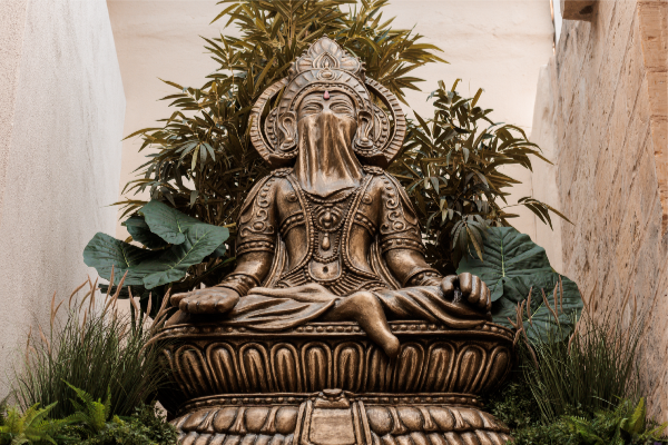 Rani Image 1